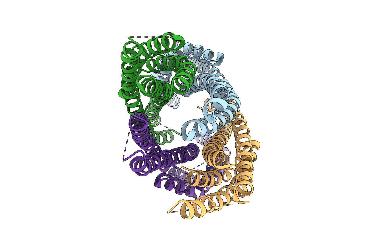 6H2D image