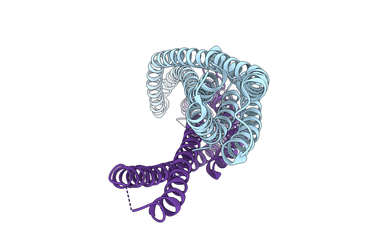 6H2E image