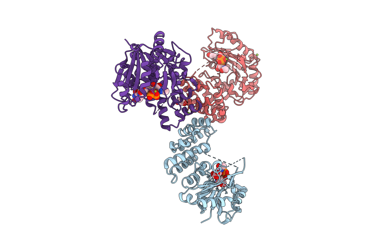 6H2N image