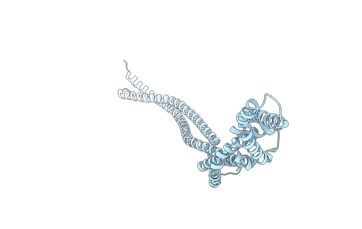 6H2X image