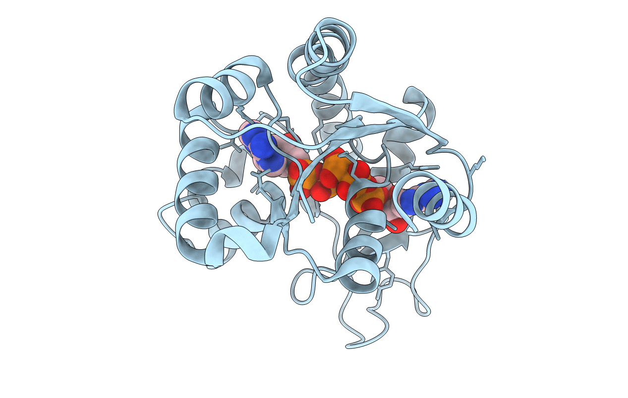 6HAP image