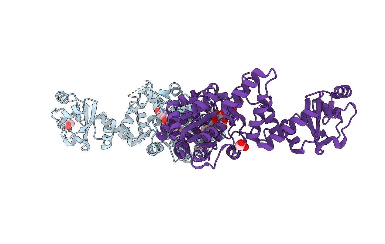 6HB6 image