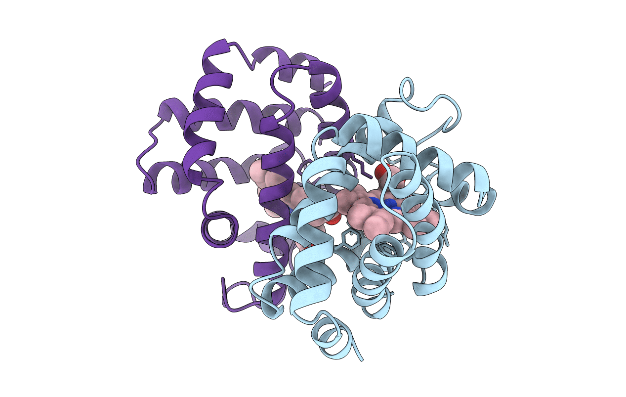 6HBI image