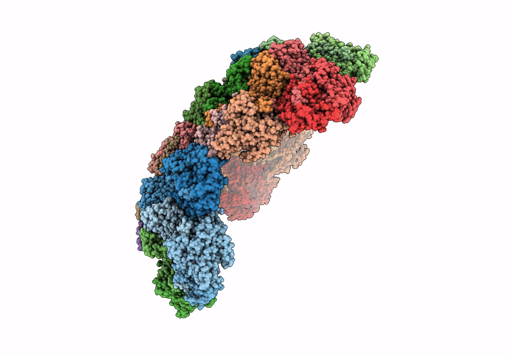 6HBL image