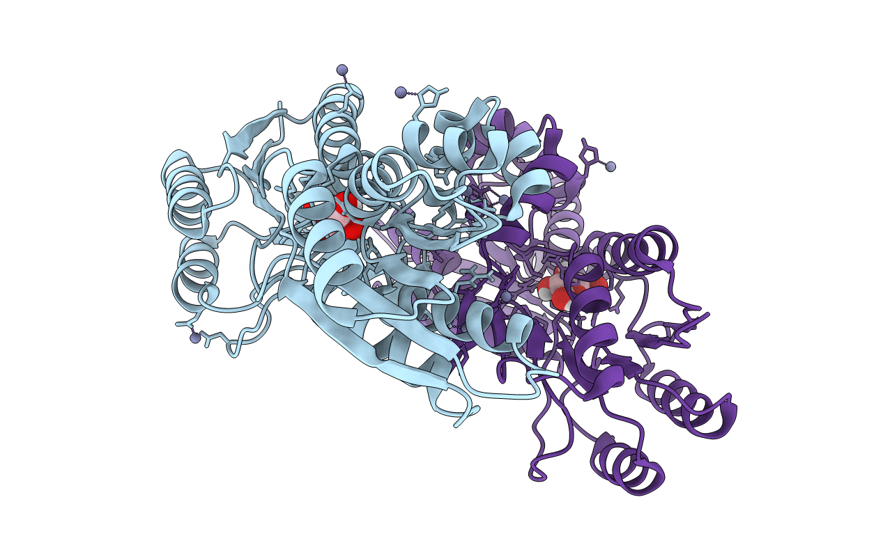 6HBM image