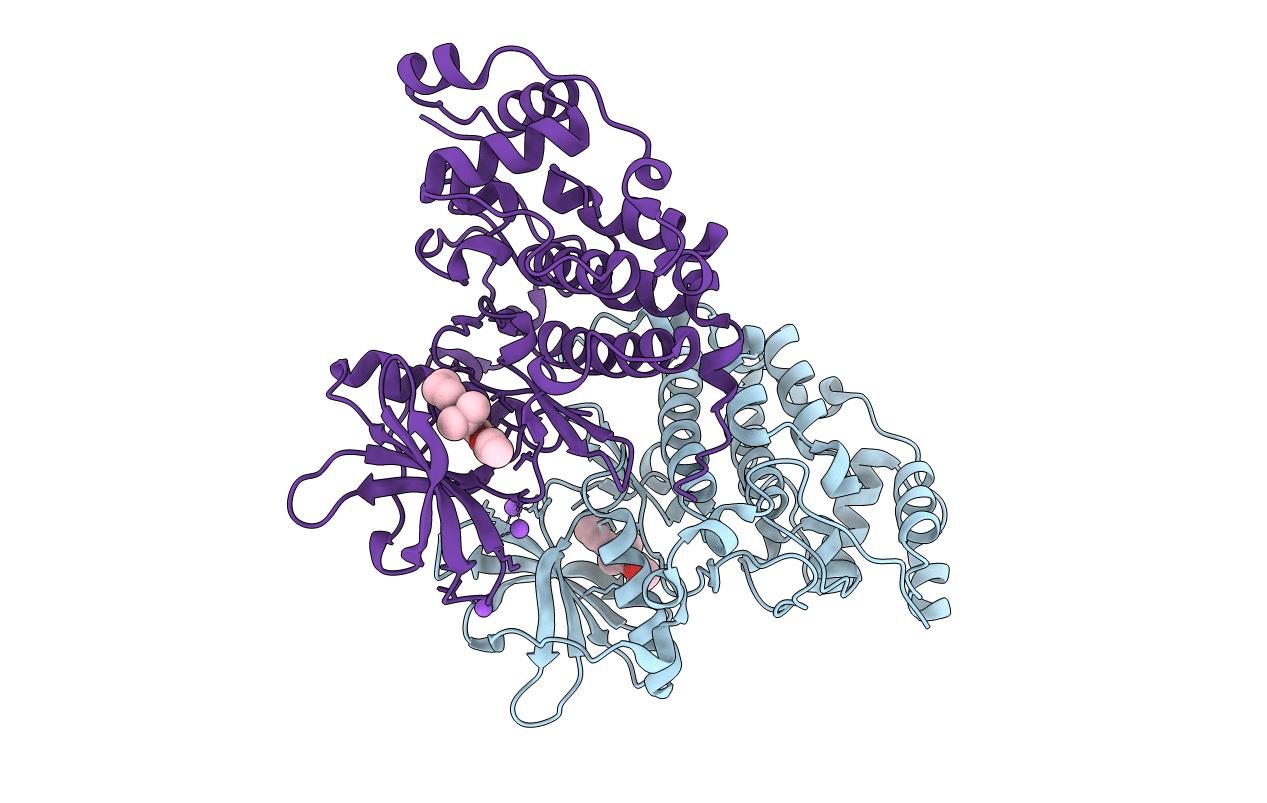 6HBN image