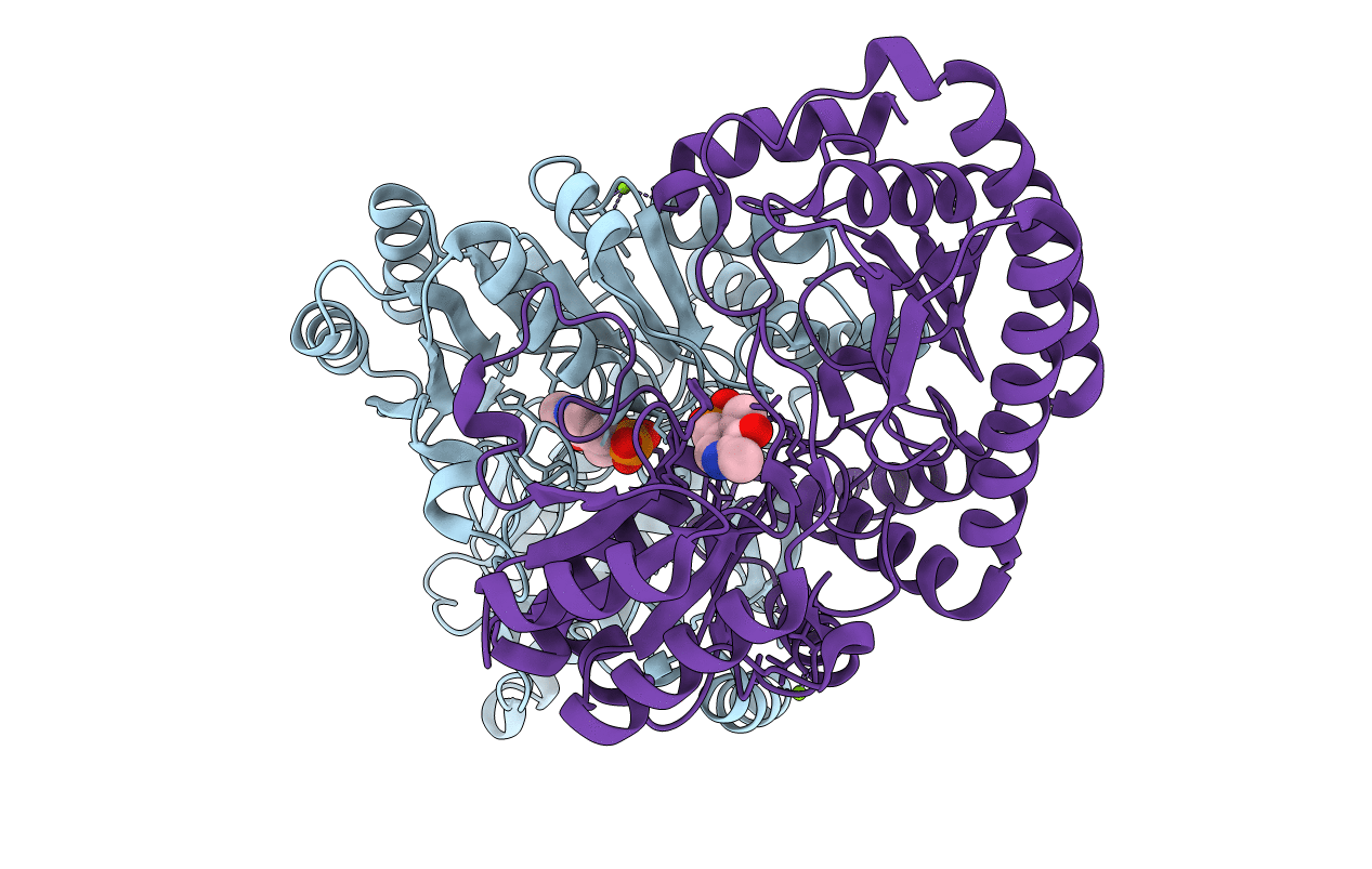 6HBS image