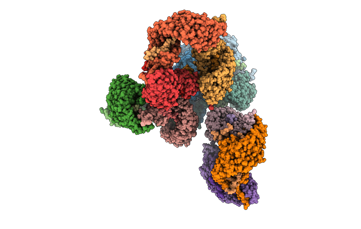 6HC2 image