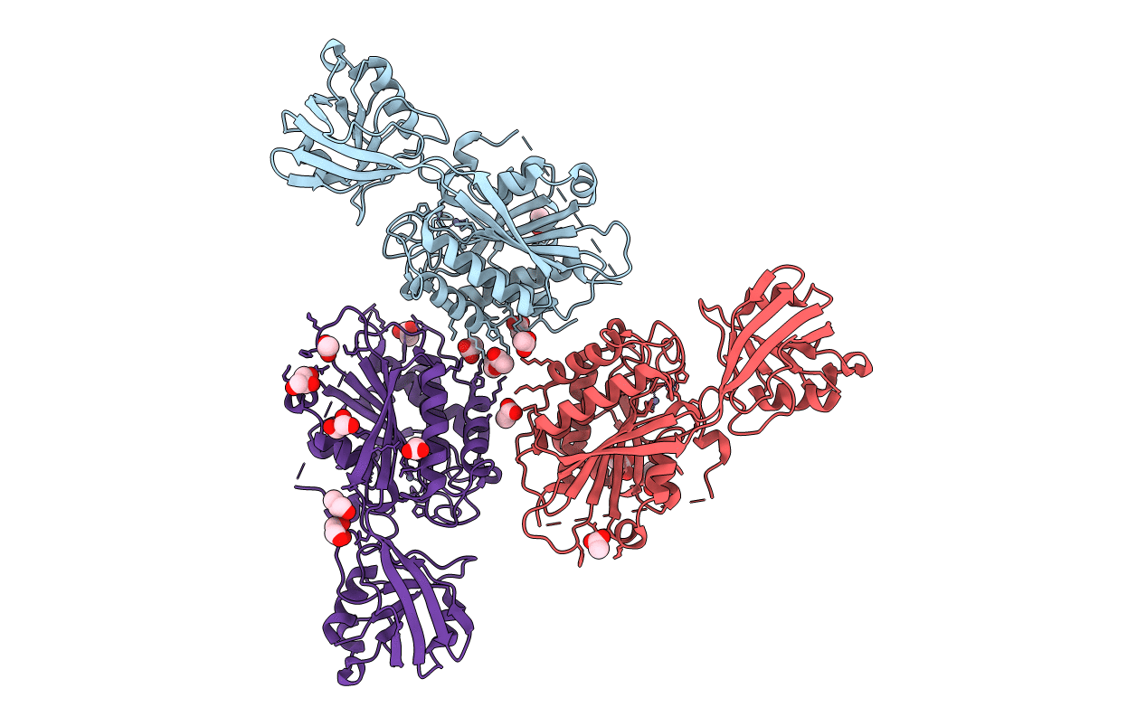 6HC6 image