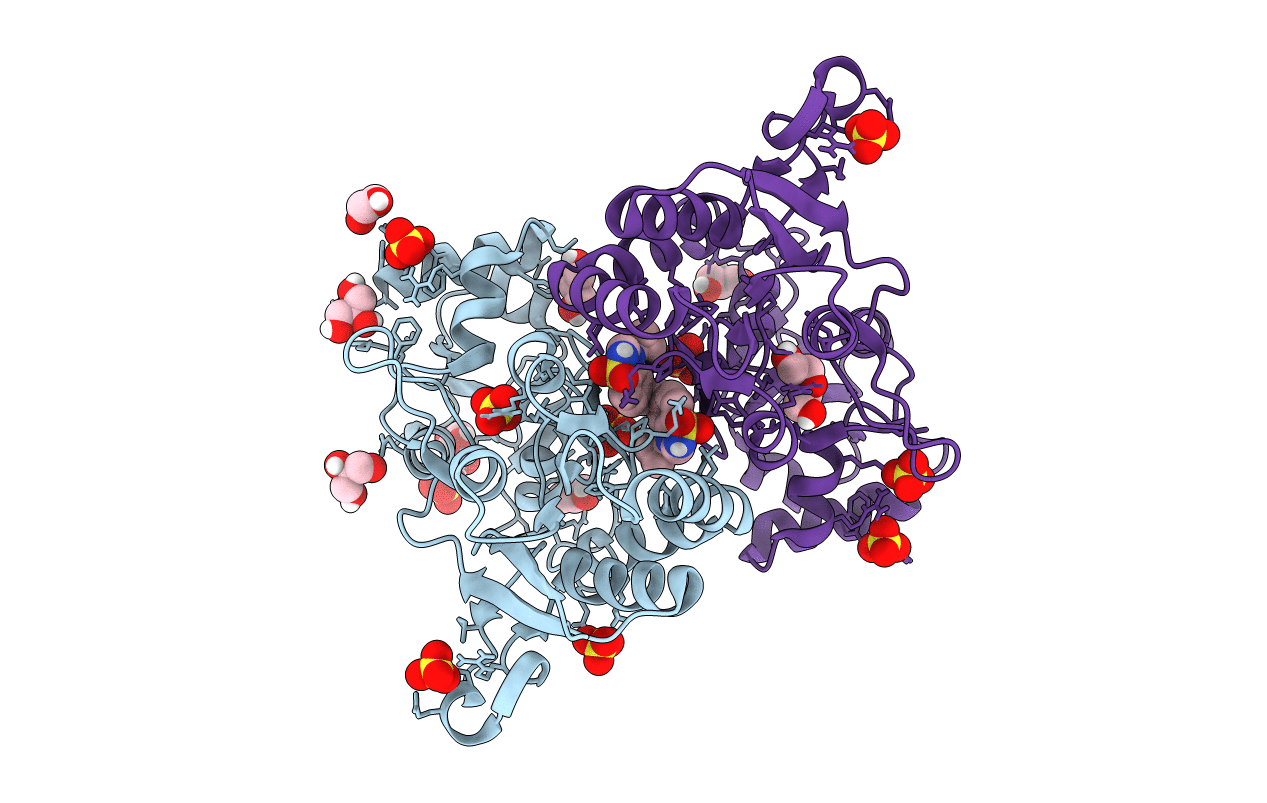 6HCA image