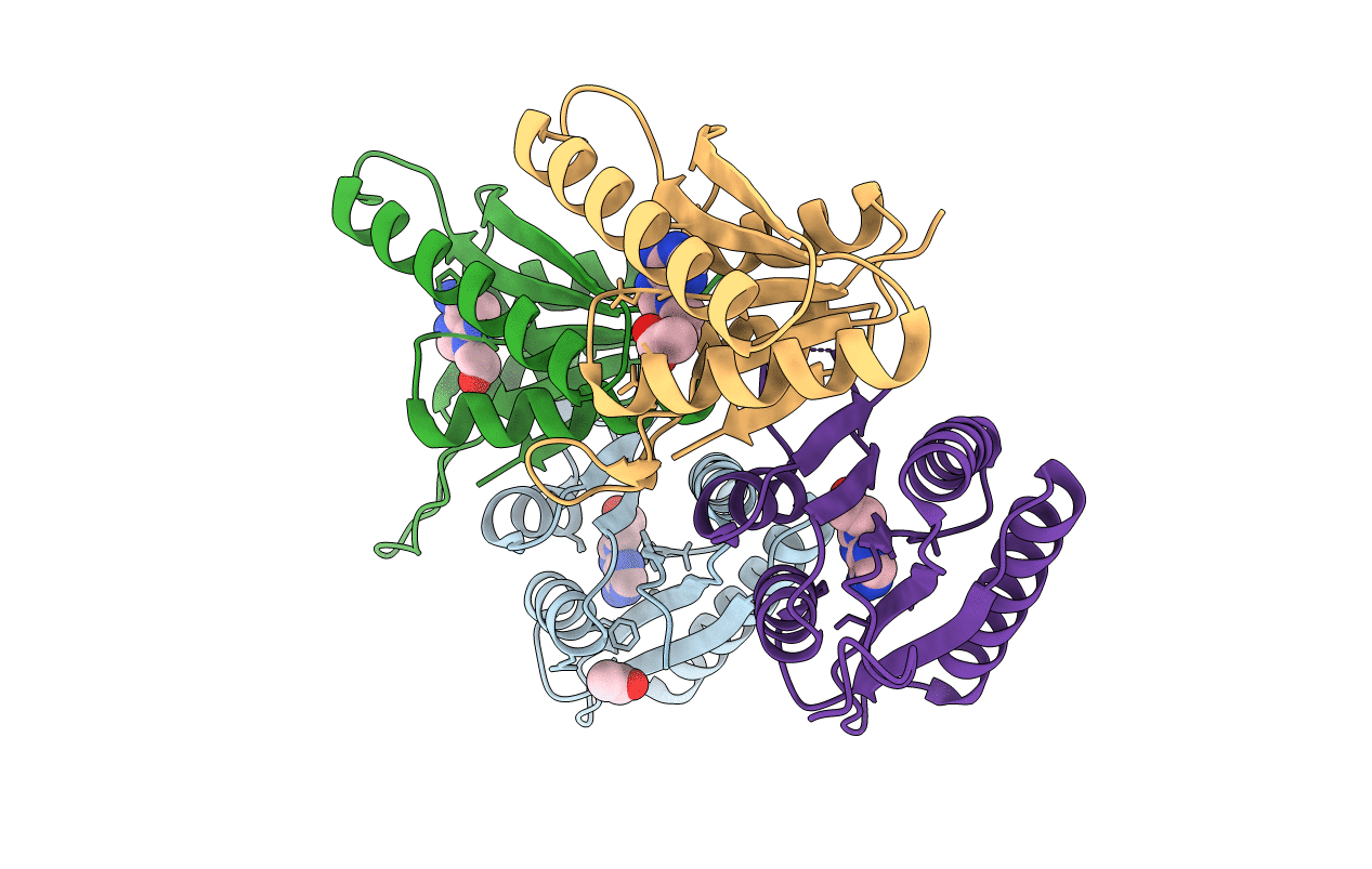 6HCD image