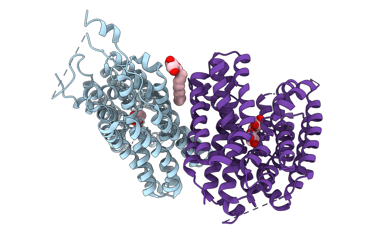 6HCL image