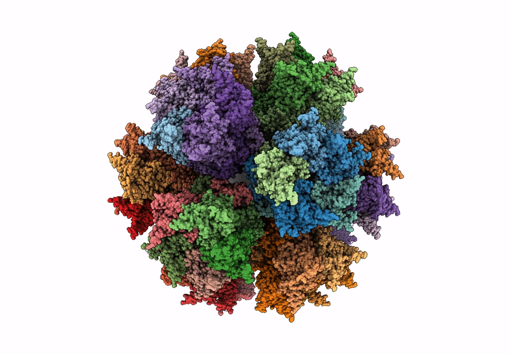 6HCR image
