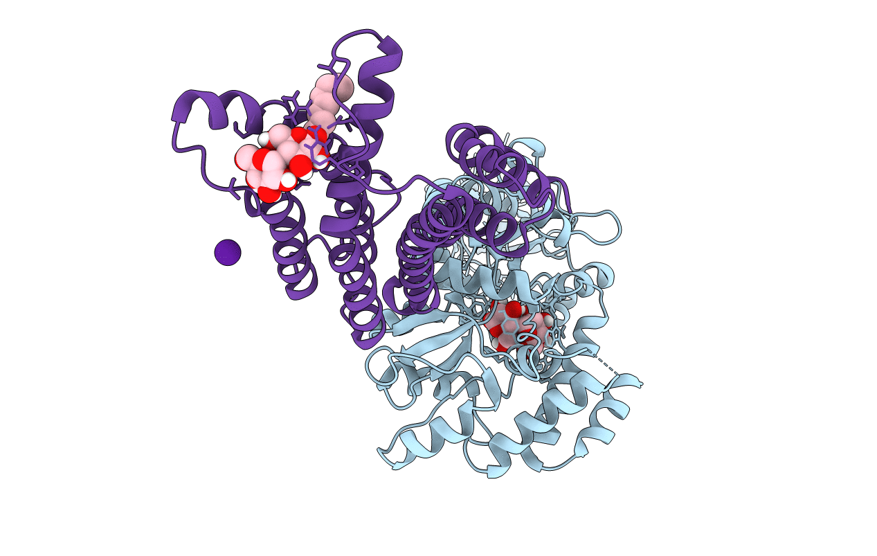 6HDA image