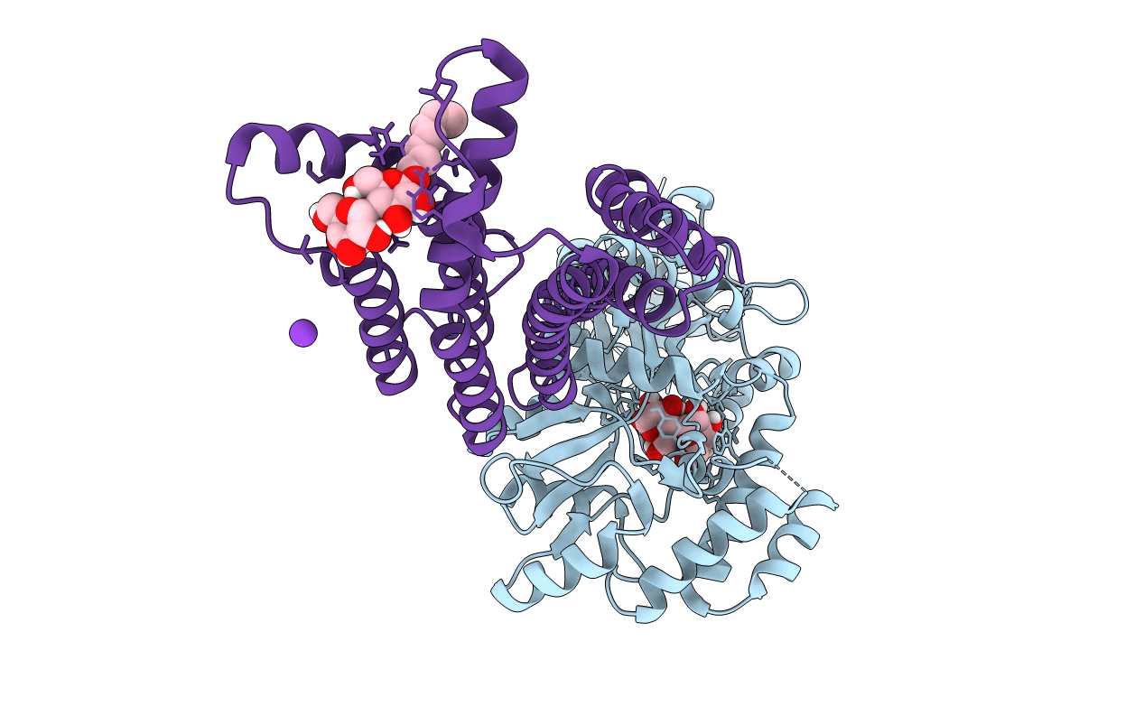 6HDC image