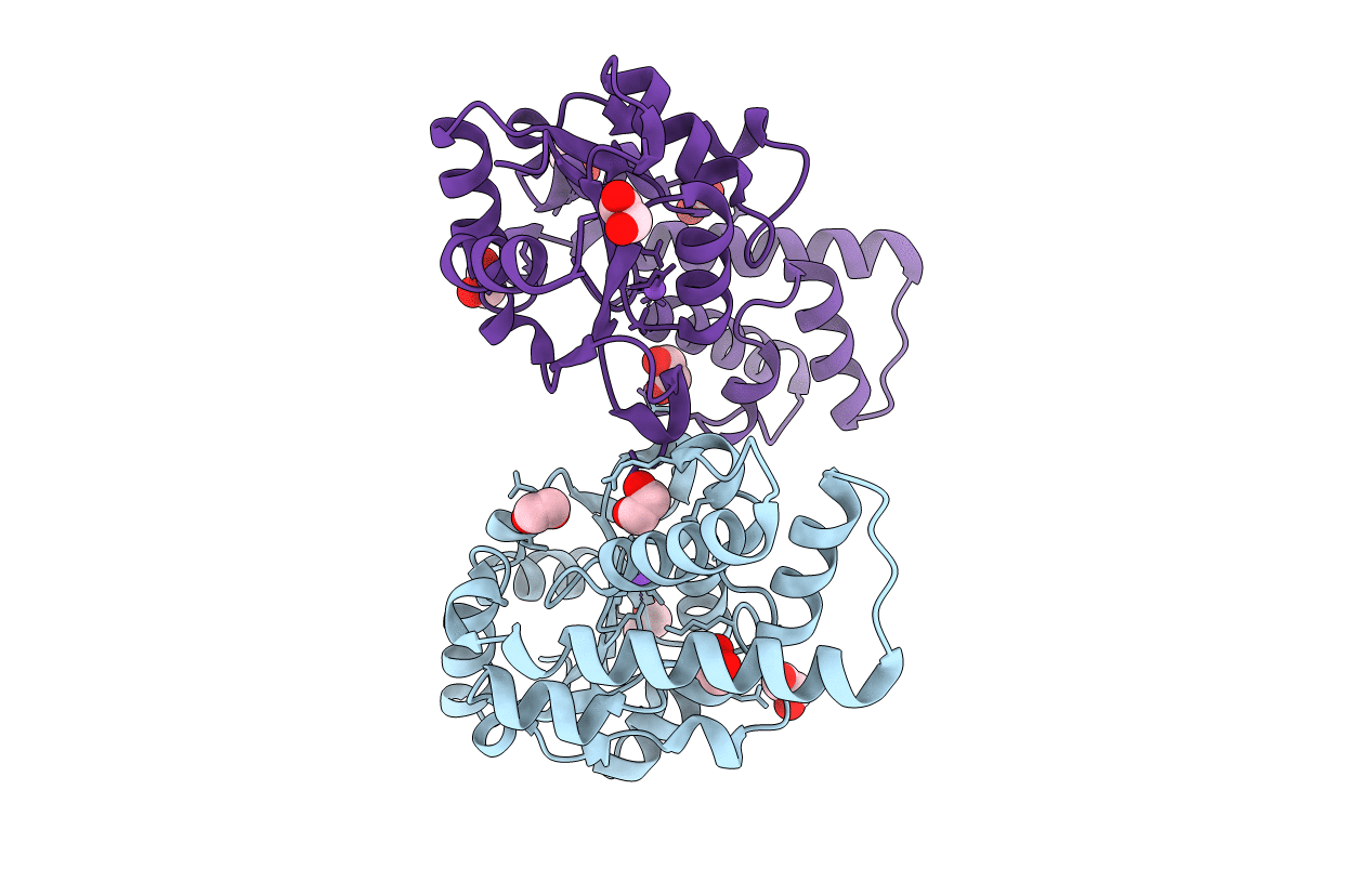 6HDF image