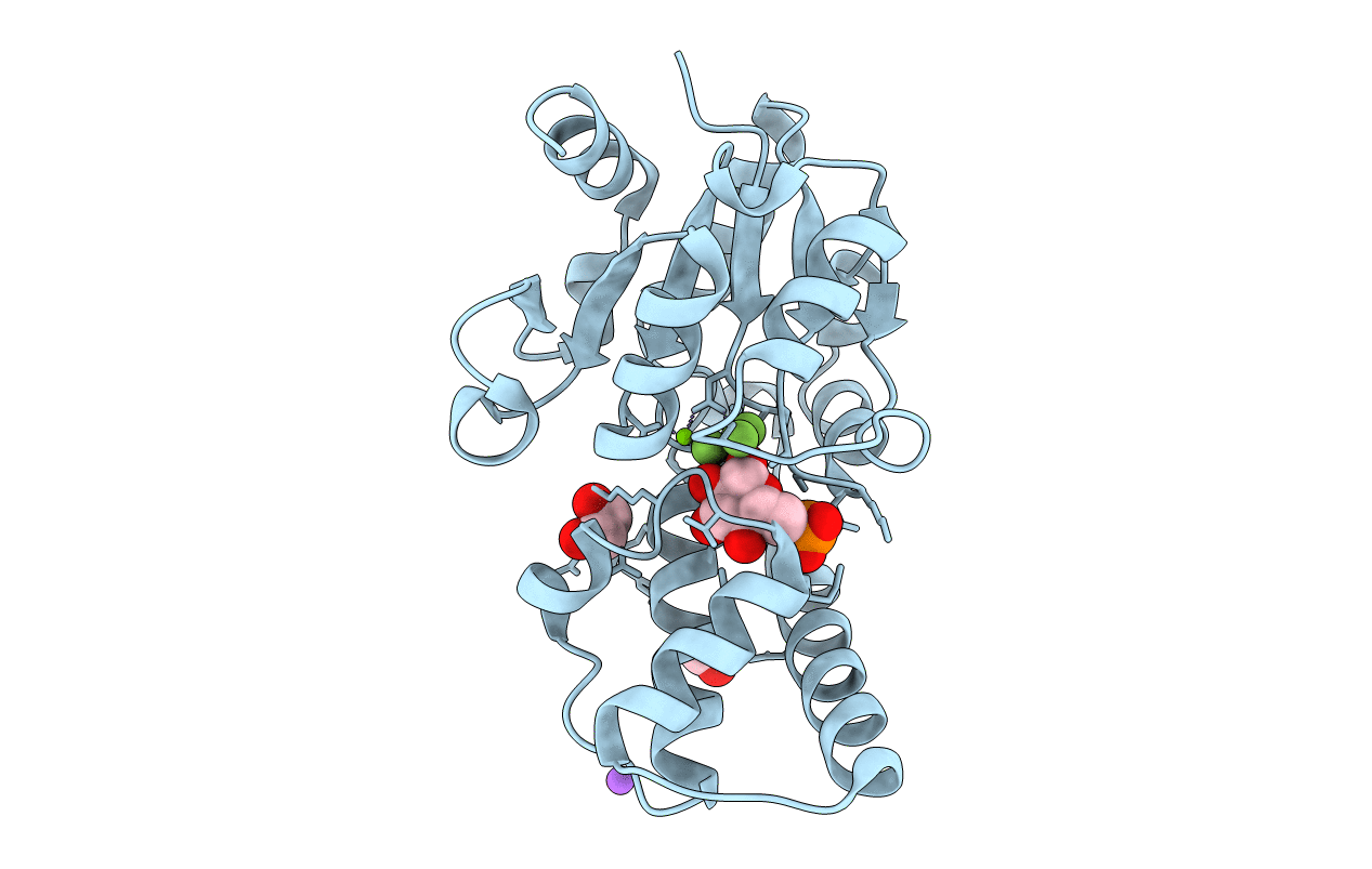6HDL image