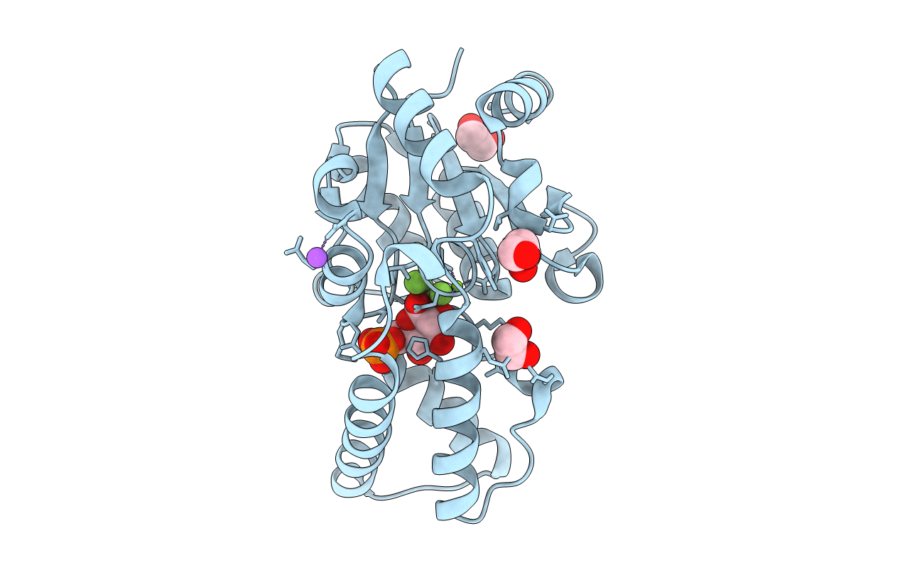 6HDM image