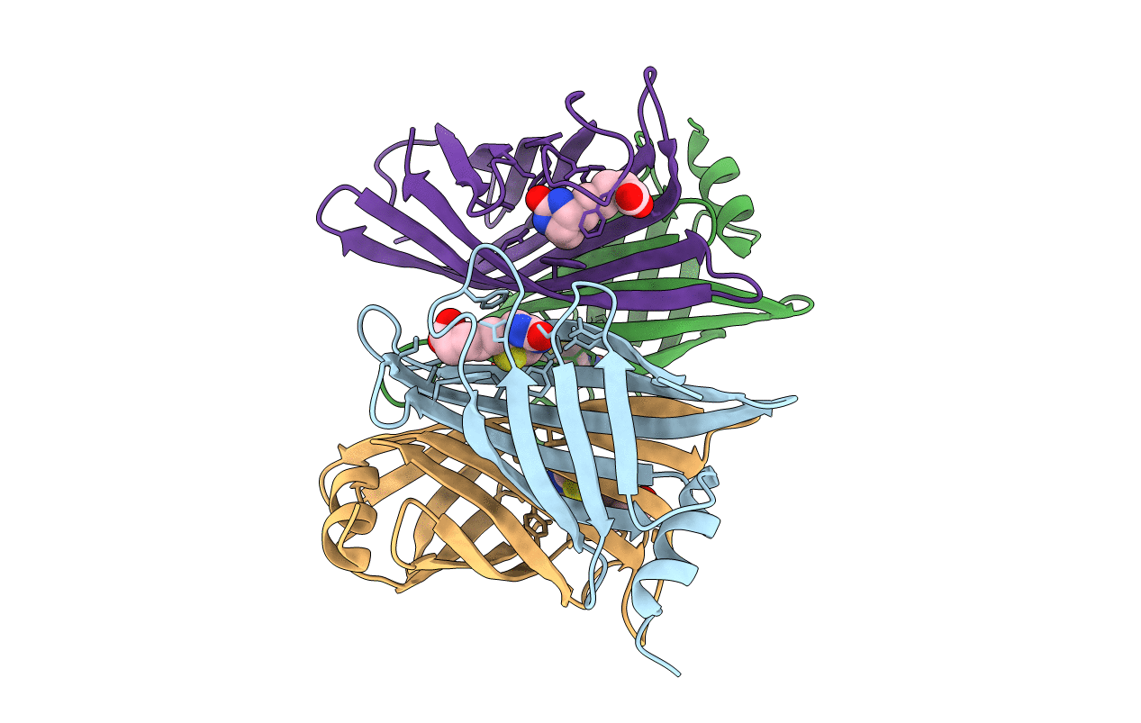 6HDT image