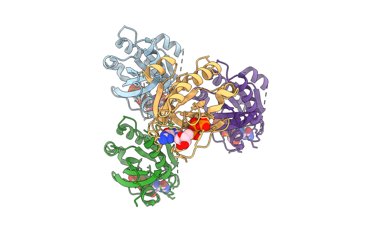 6HDU image