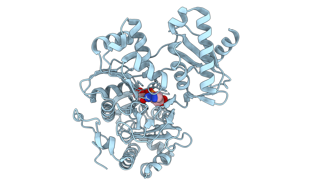 6HDX image