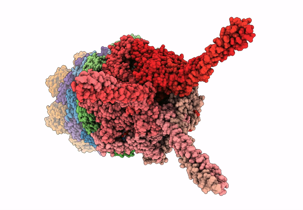6HEC image