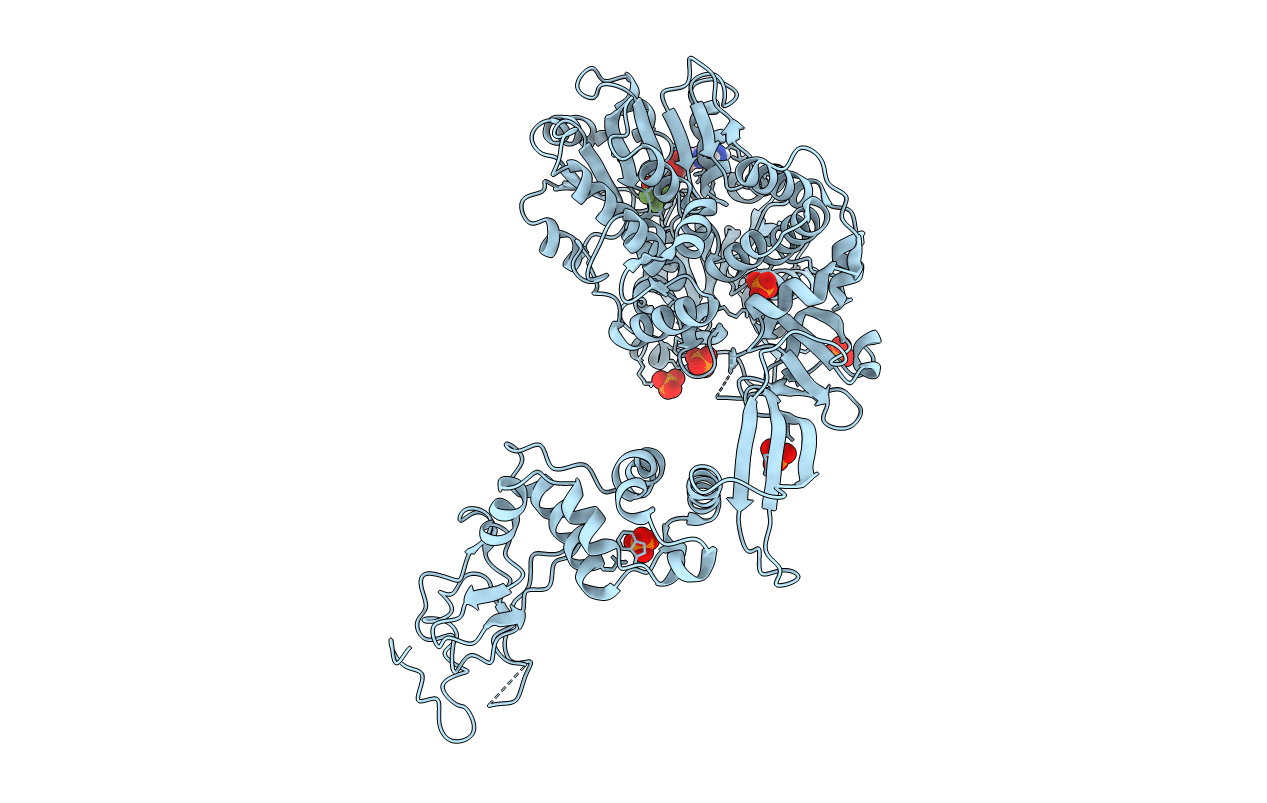 6HEG image
