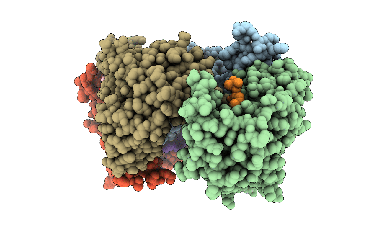 6HEP image