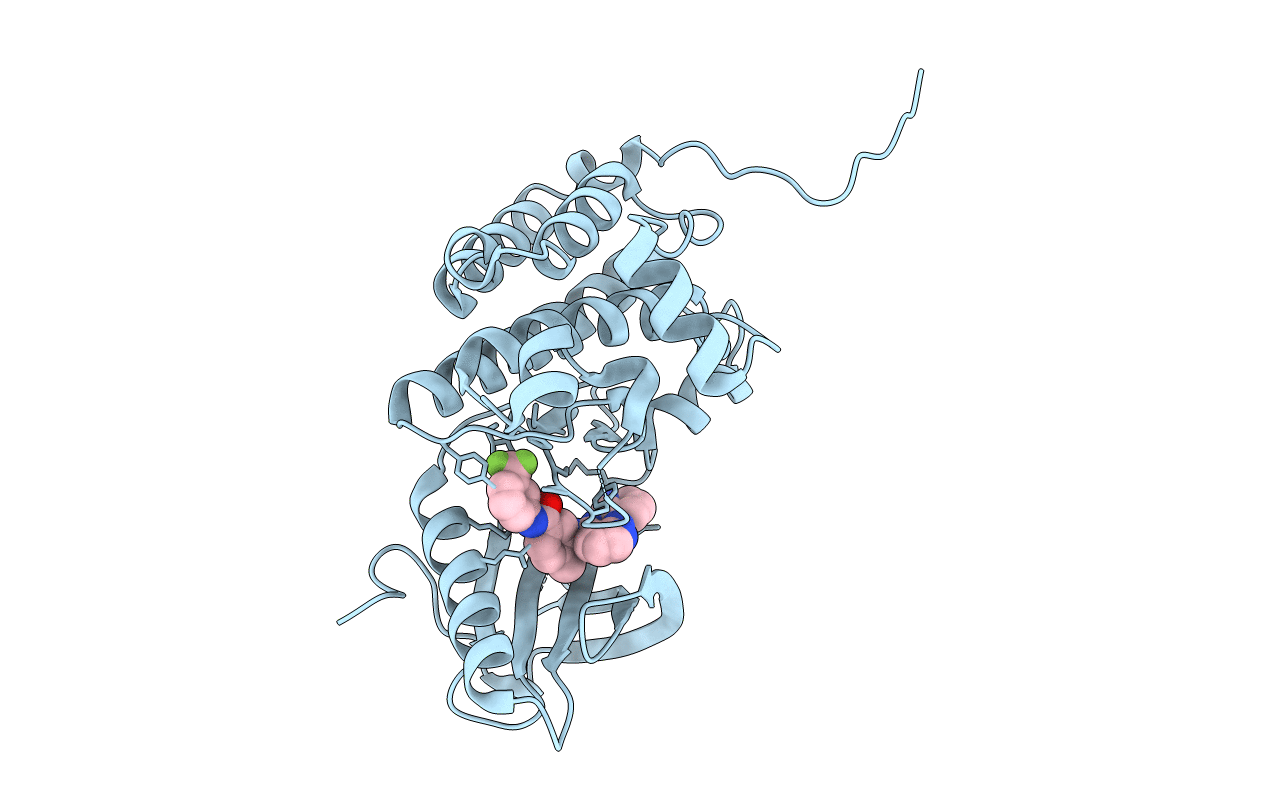 6HEV image