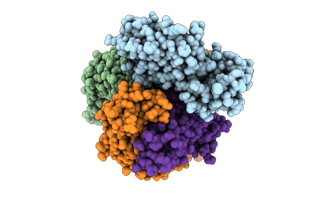 6HF1 image