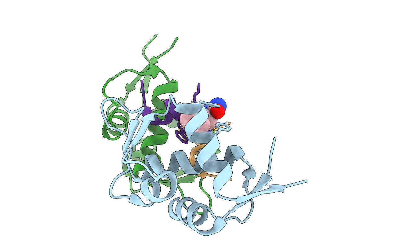 6HFA image