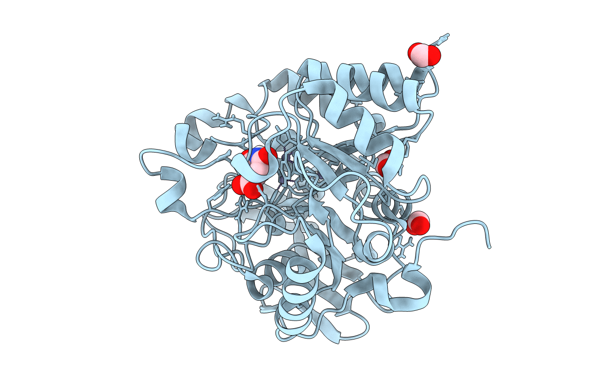 6HFK image