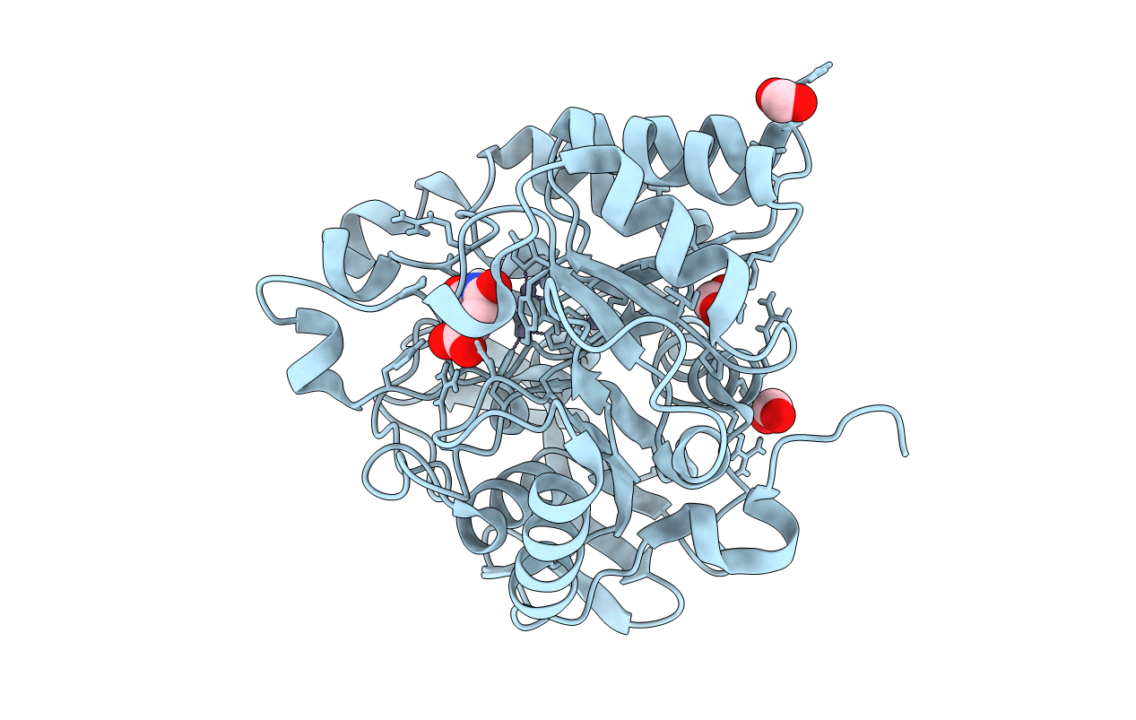 6HFL image