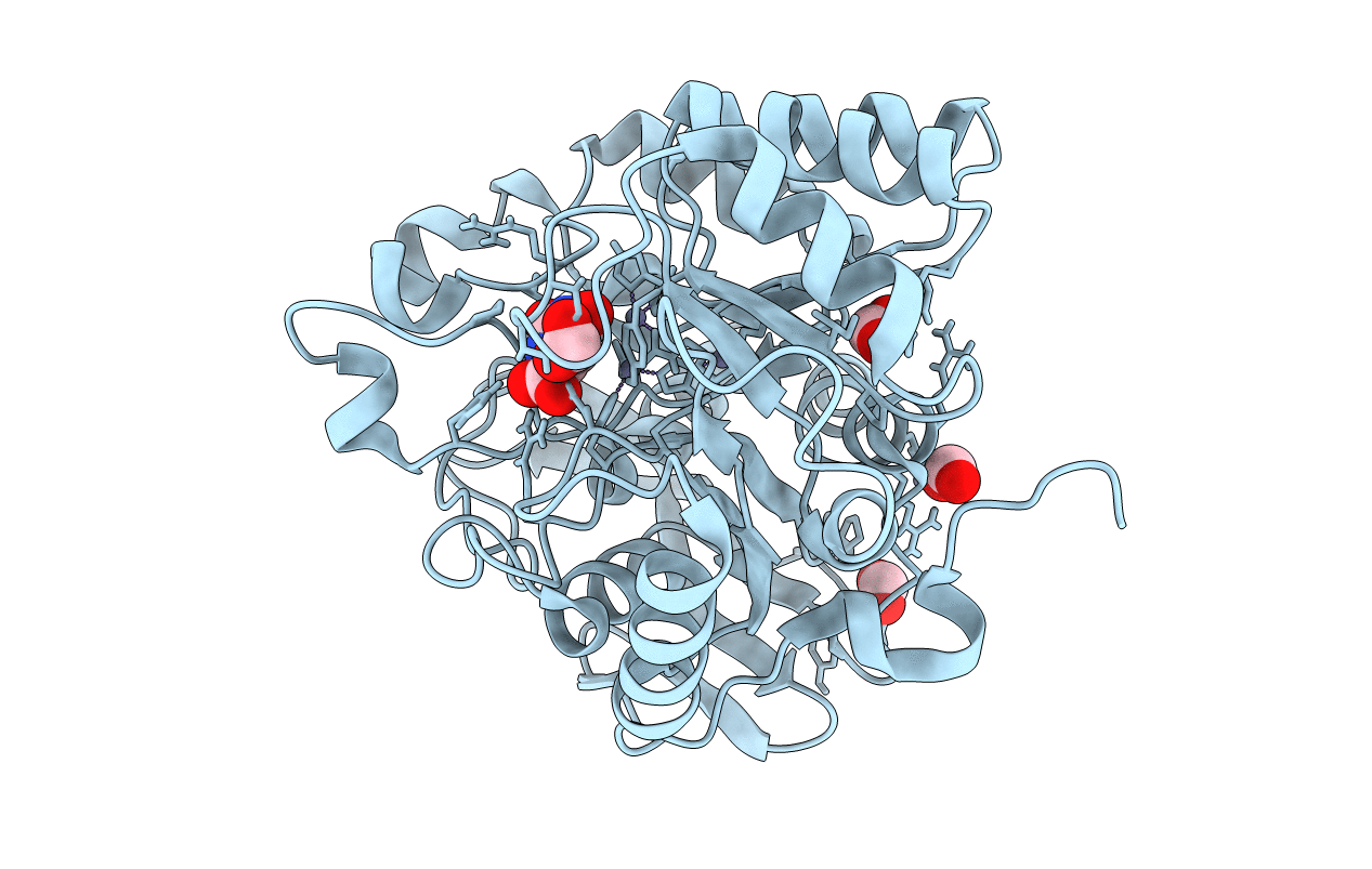 6HFP image