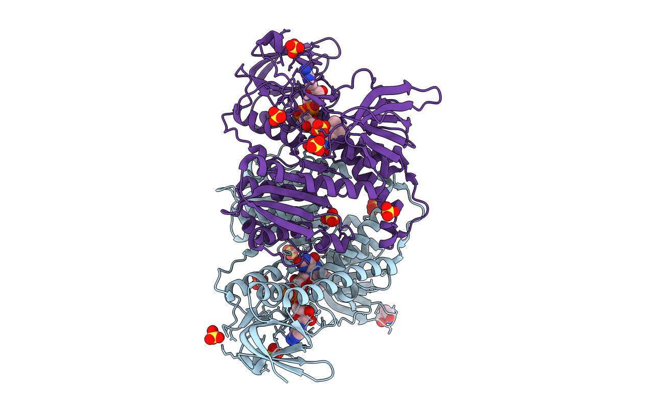 6HG8 image
