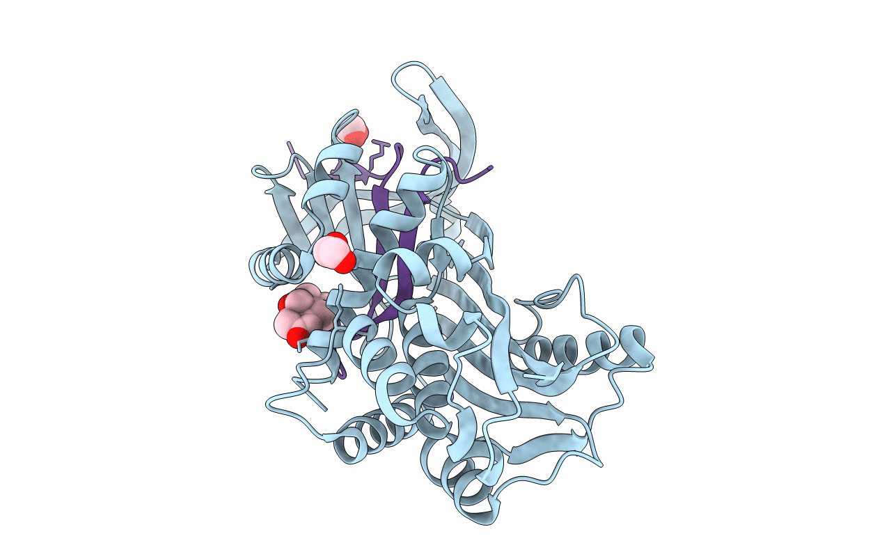 6HGF image