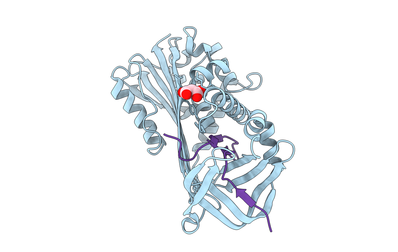6HGH image