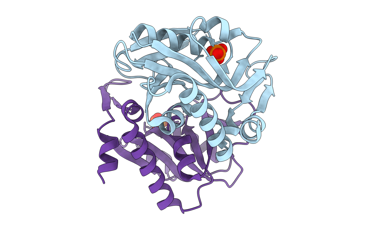 6HGP image