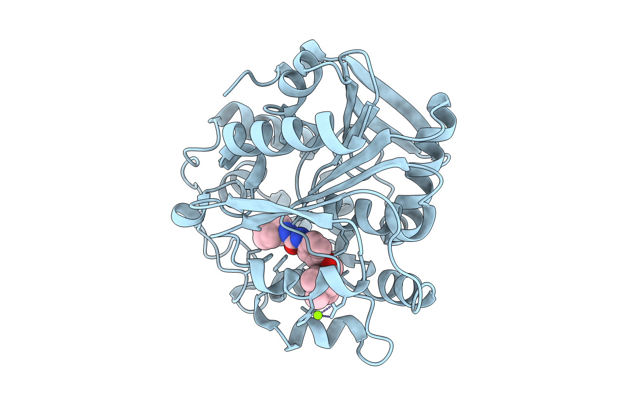 6HGX image