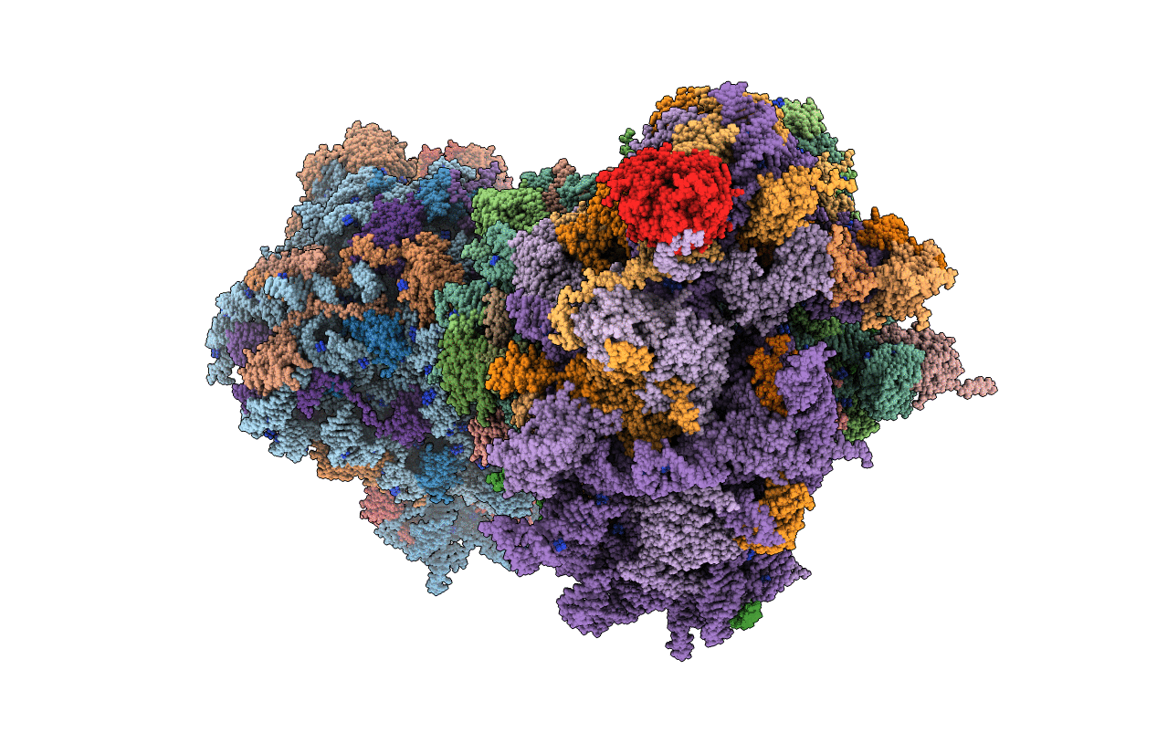 6HHQ image