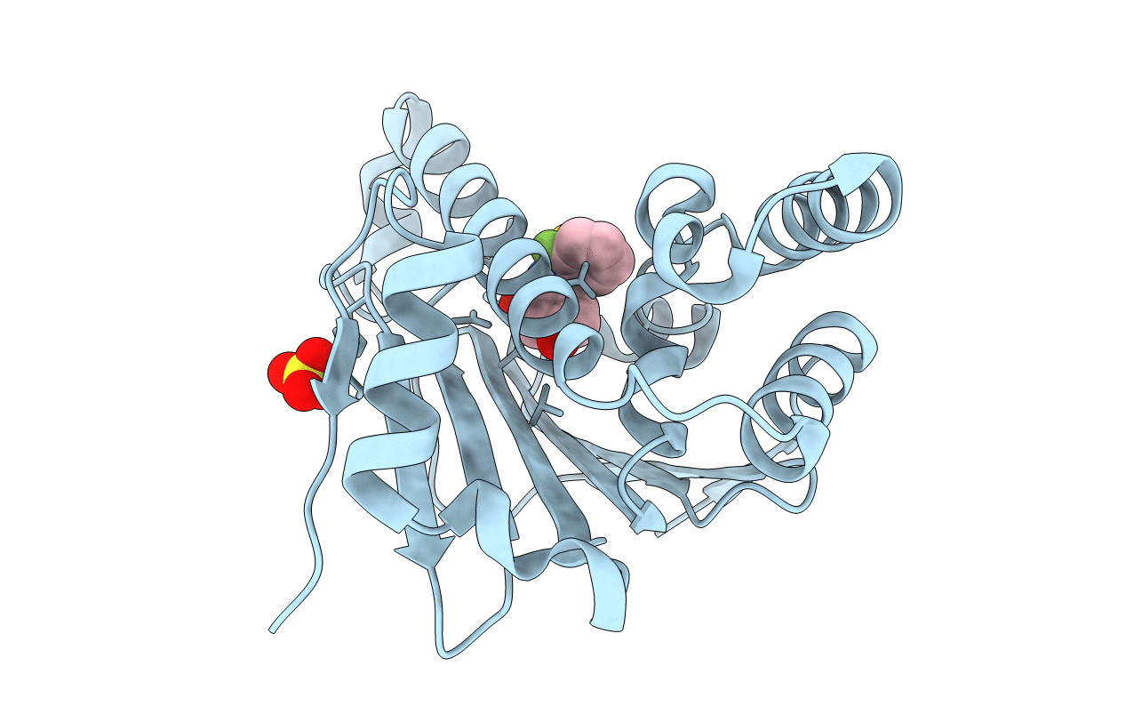 6HHR image