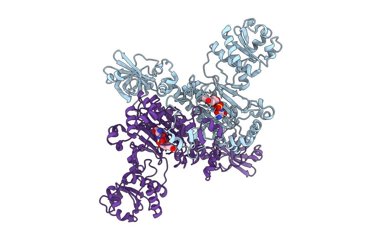 6HHV image