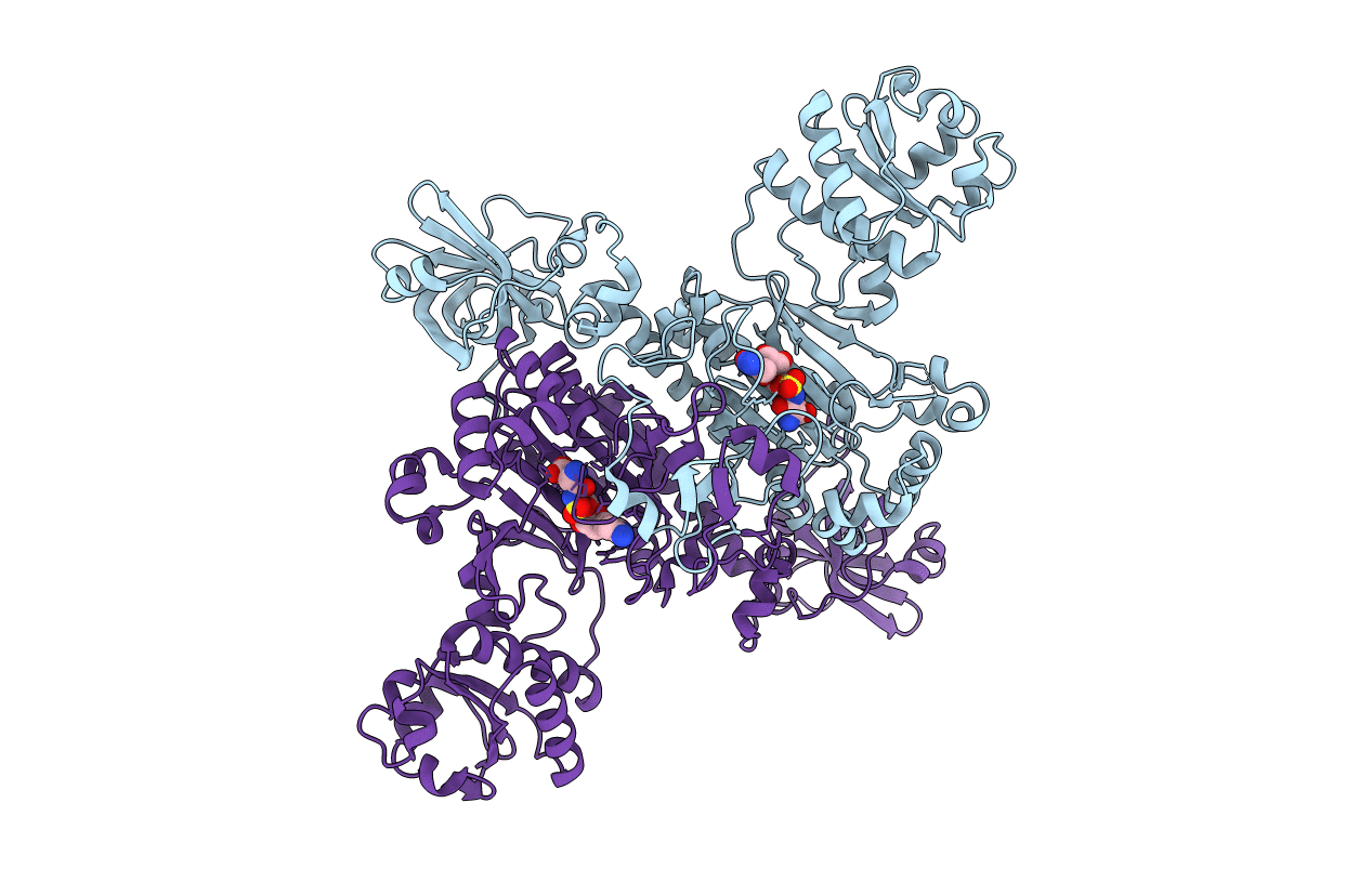 6HHX image