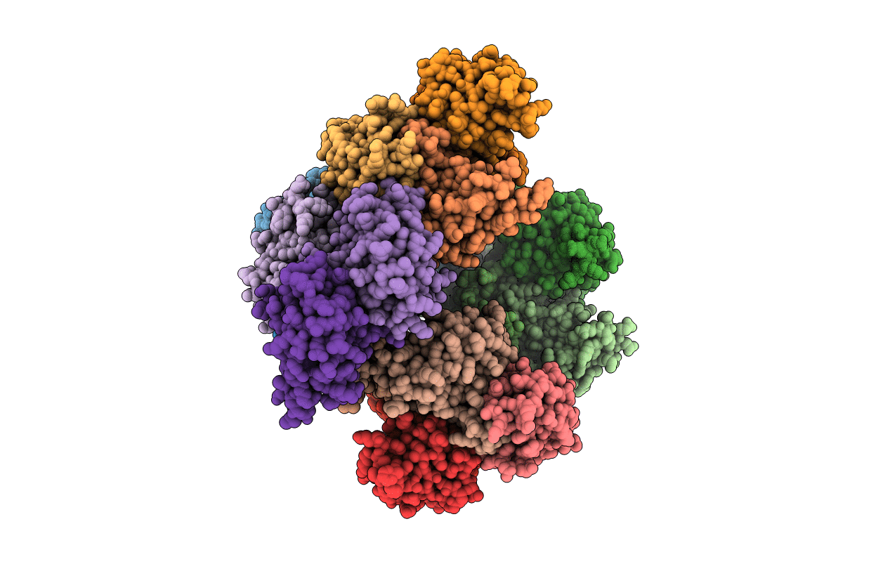 6HJM image