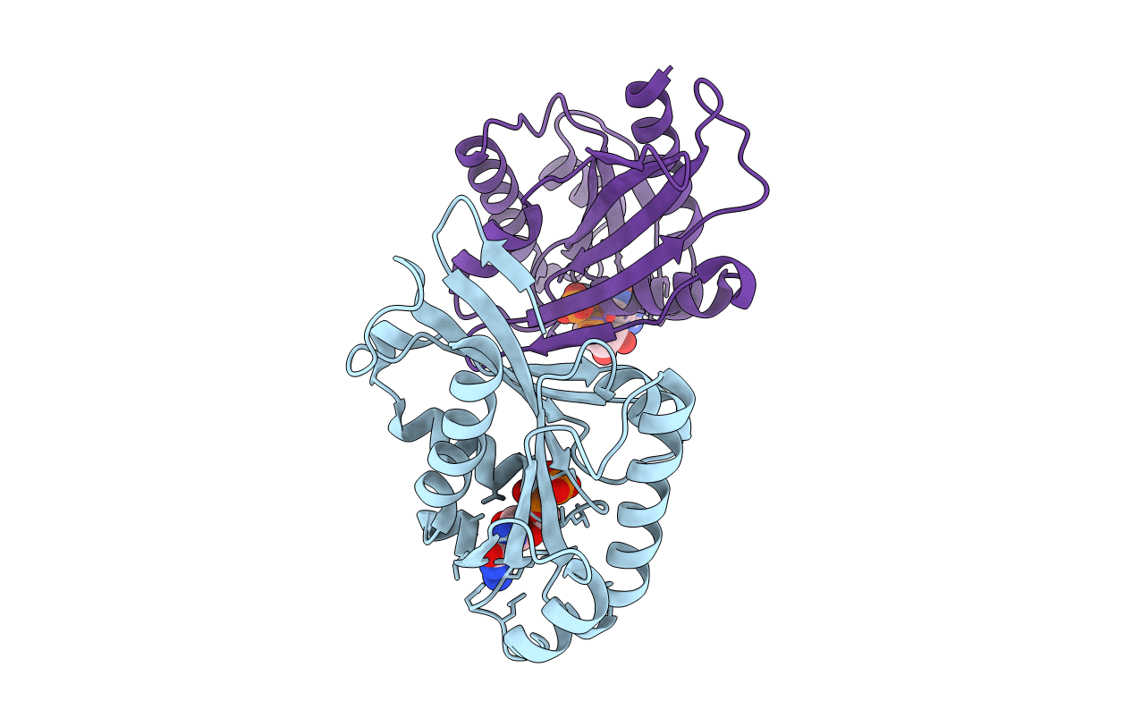6HJO image