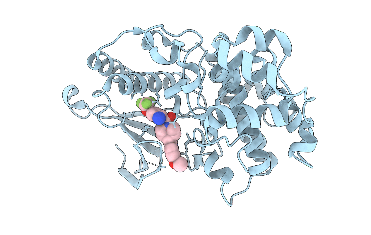 6HKN image