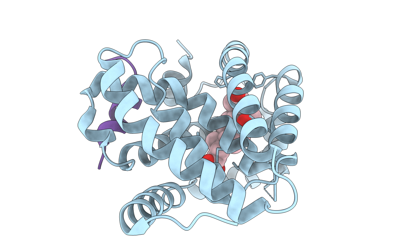 6HL1 image