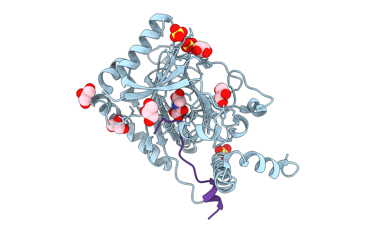 6HL6 image