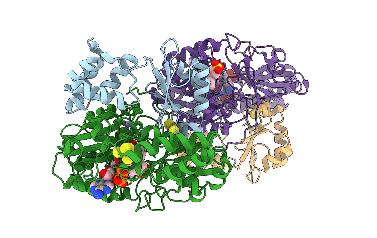 6HLA image