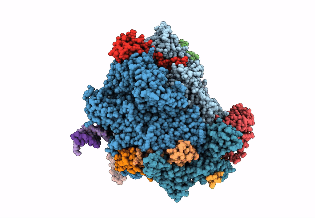 6HLR image